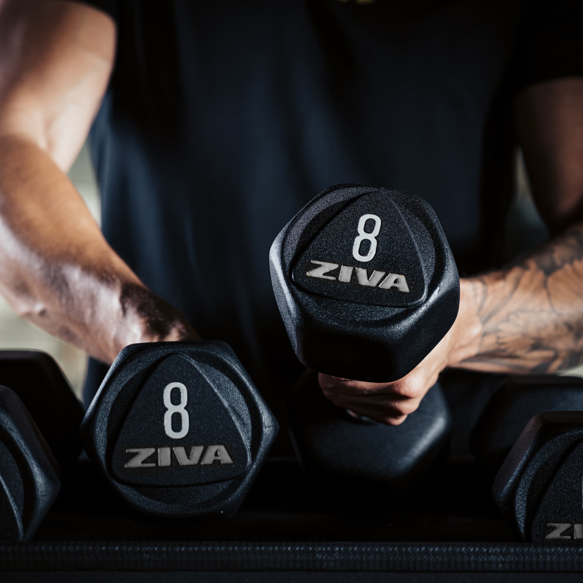 https://assets01.us.ziva.com/Pages/Mid-Range+Series/Sl+Urethane+Banner+2.jpg