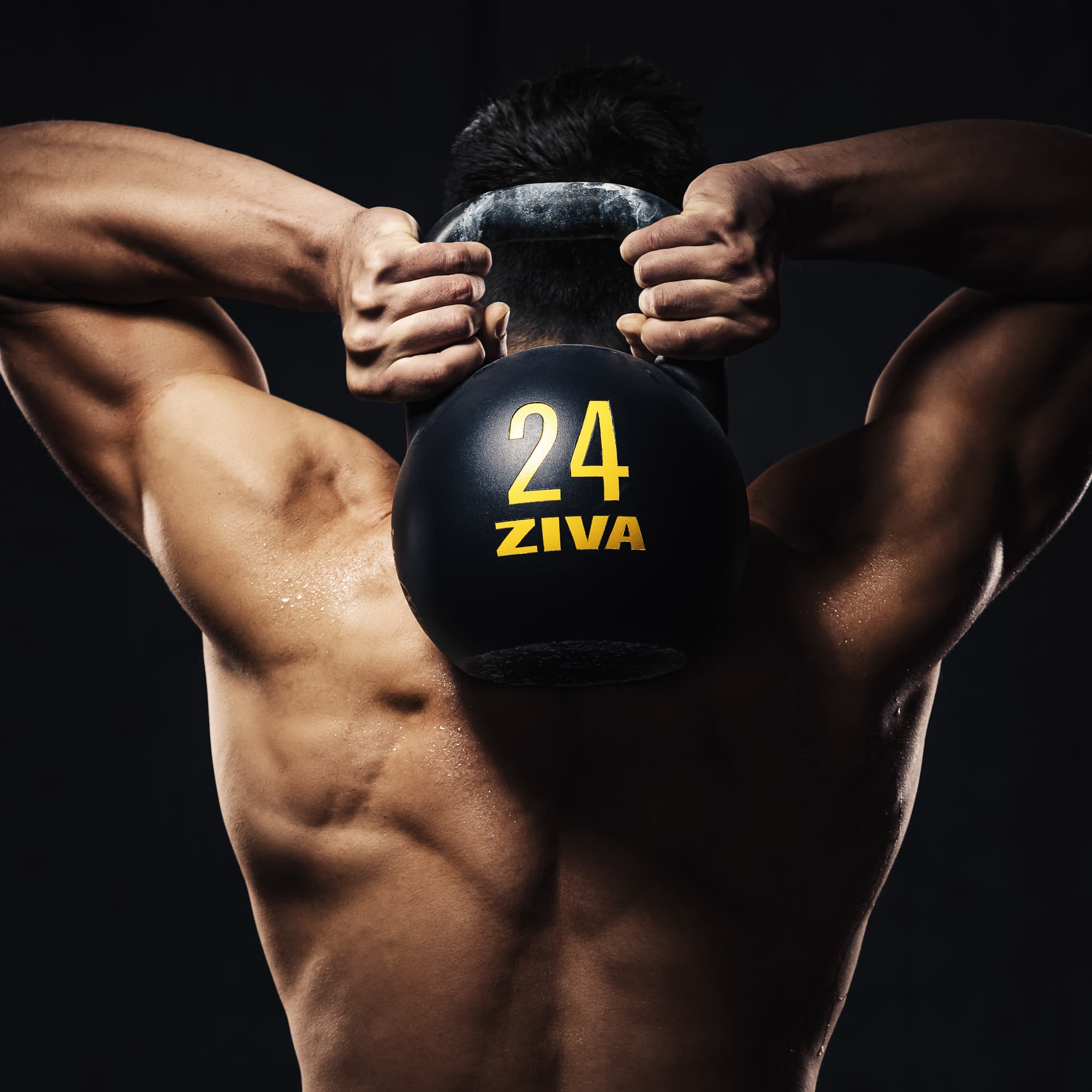 https://assets01.us.ziva.com/Pages/Premium+Series/Signature+Model+2.jpg